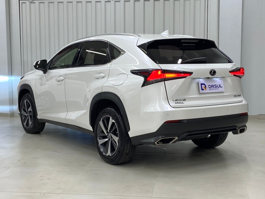 lexus nx 300 2.0 16v vvt-i turbo gasolina luxury 6a/t awd 4p automatico 20183