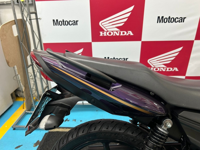 yamaha fazer 150 sed flex manual 2024