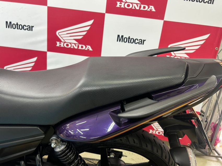 yamaha fazer 150 sed flex manual 2024