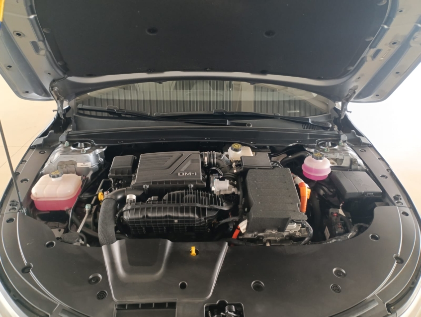 byd king 1.5 dm-i phev gs automatico hibrido 4p 202515