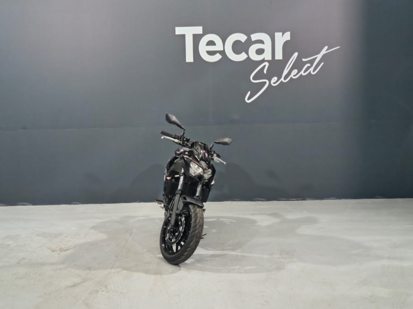 kawasaki z 650 / z650 gasolina manual 20213