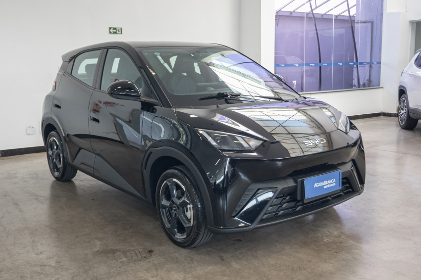 Carro BYD DOLPHIN MINI