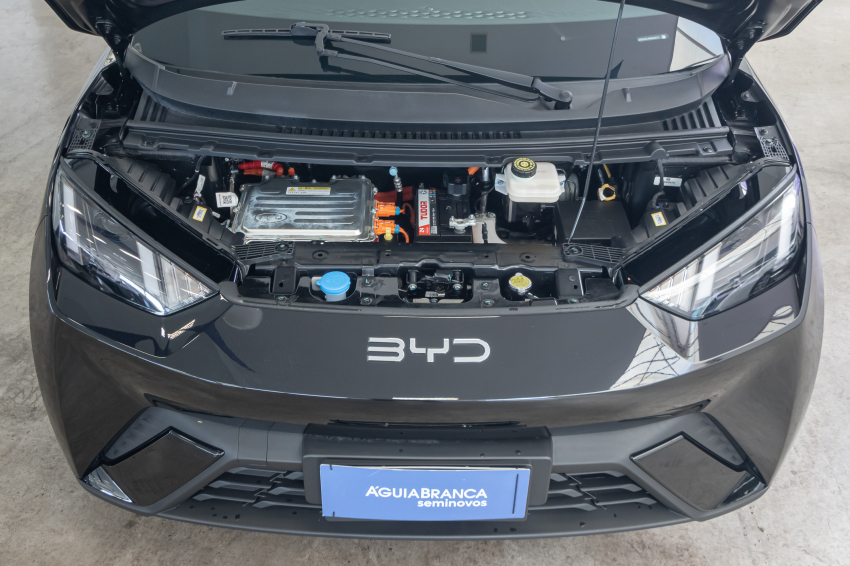 Carro BYD DOLPHIN MINI