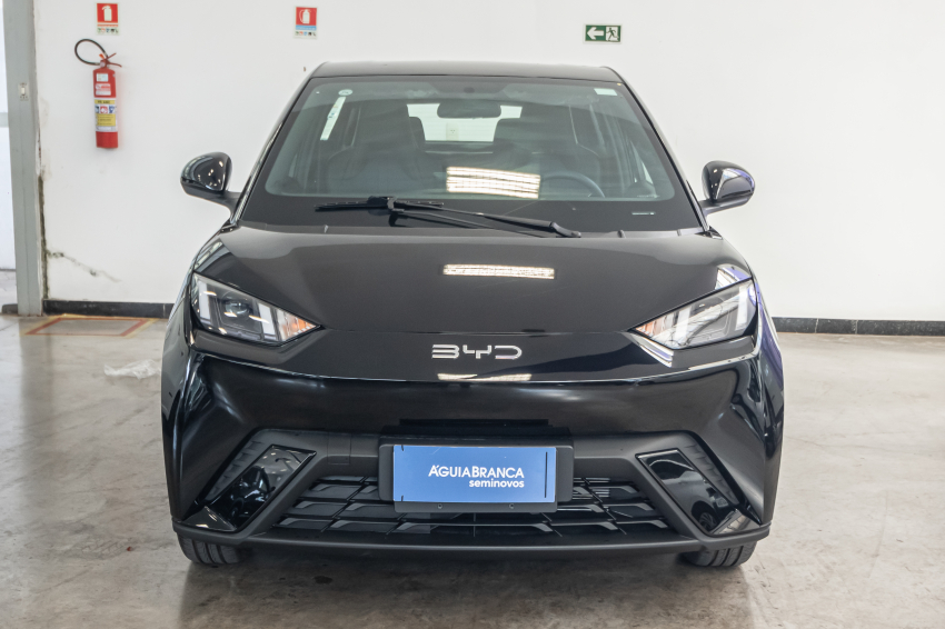 Carro BYD DOLPHIN MINI