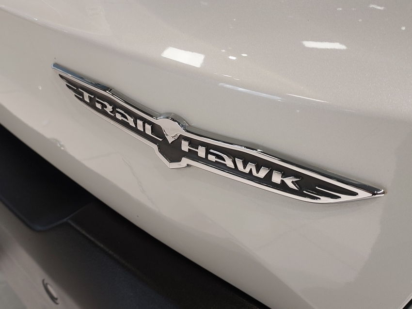 jeep renegade 2.0 16v turbo diesel trailhawk 4p 4x4 automatico 2019