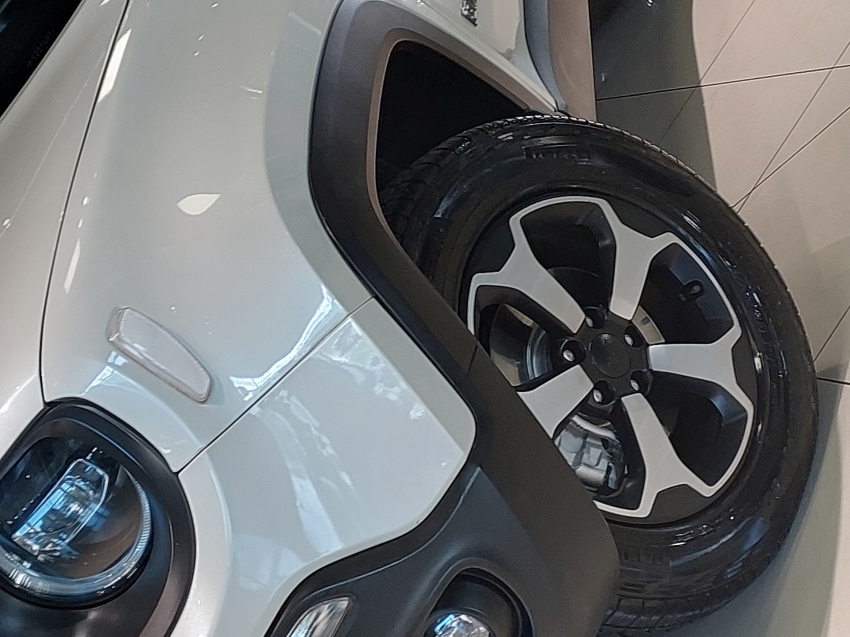 jeep renegade 2.0 16v turbo diesel trailhawk 4p 4x4 automatico 2019