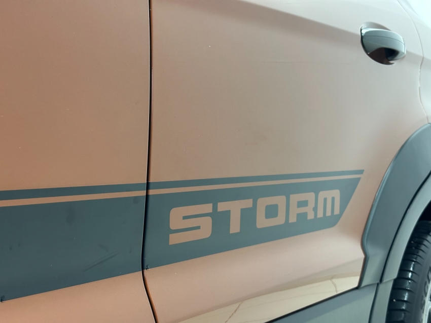 ford ecosport 2.0 direct flex storm 4wd automatico 4p 2019