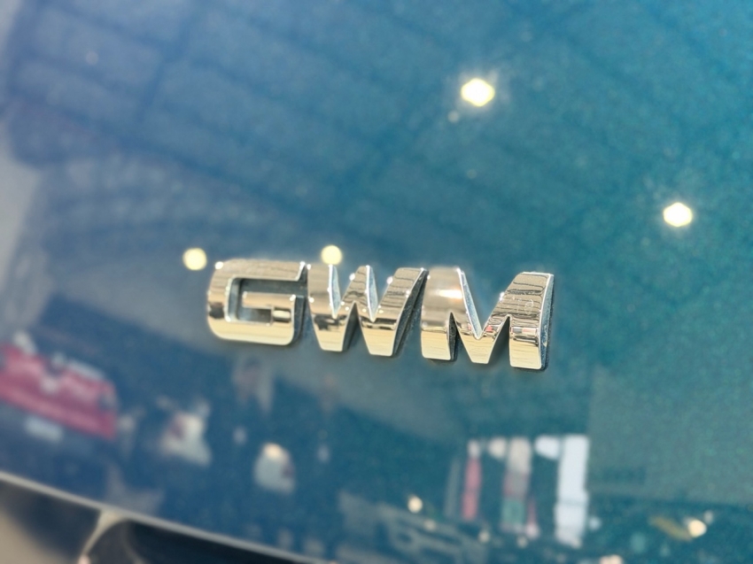 gwm ora 03 48 kw eletrico skin 1.1 4p automatico 202417