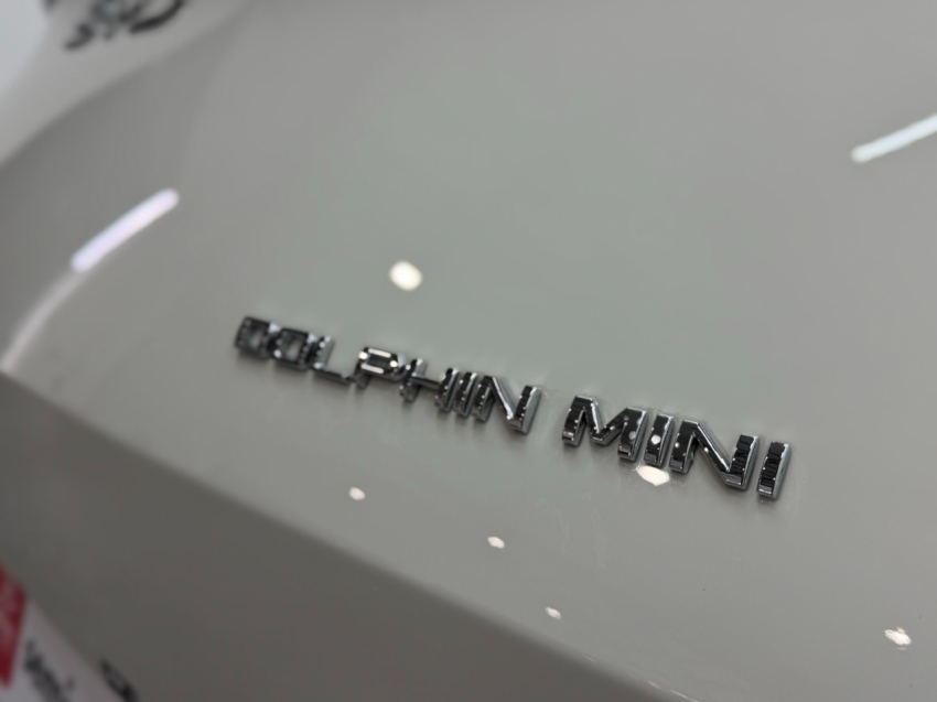 byd dolphin mini 38 kw eletrico gs 1.0 4p automatico 202619