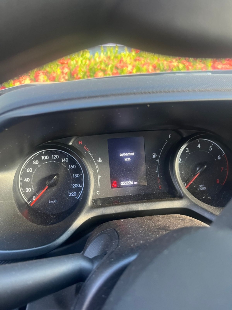 fiat pulse flex 2022