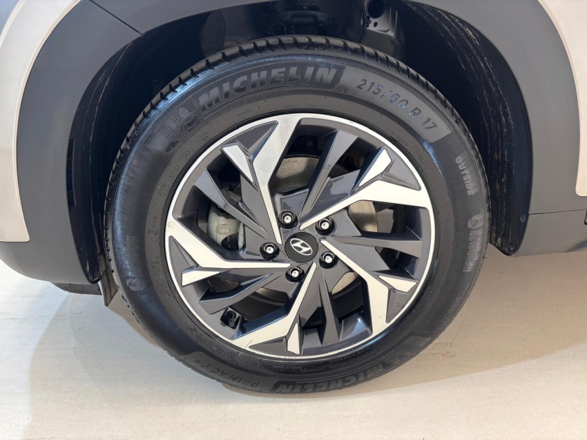 creta limited tgdi flex10