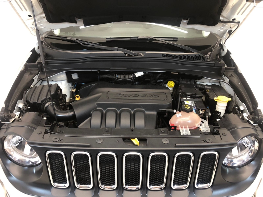 renegade sport at 201811