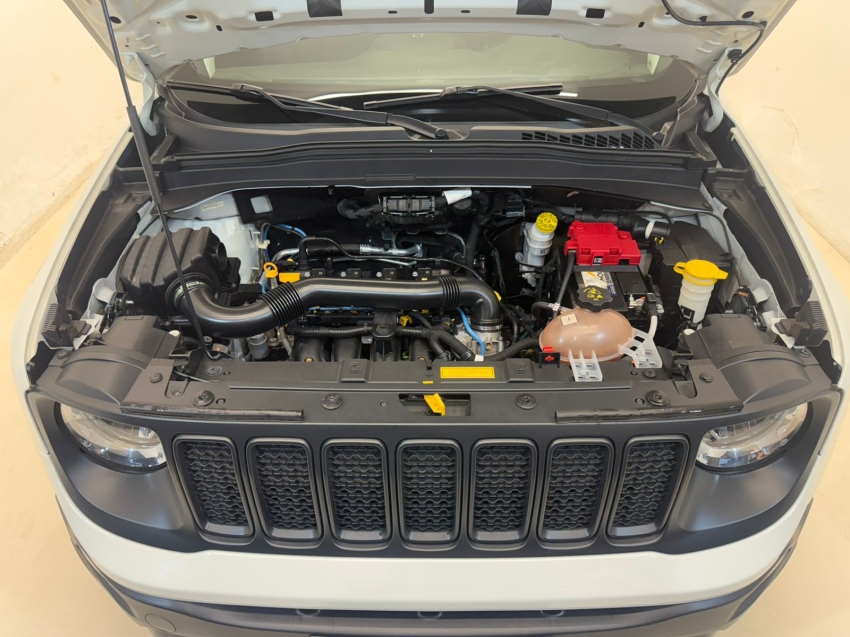 renegade sport at 201911