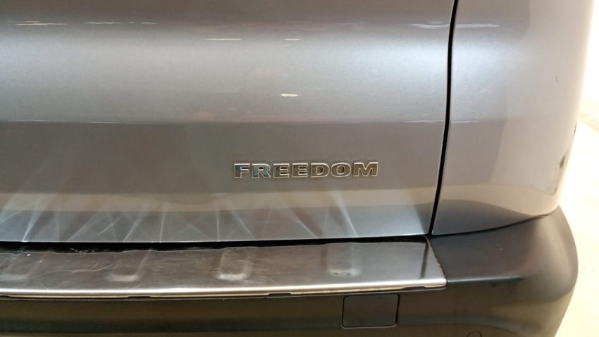TORO FREEDON10
