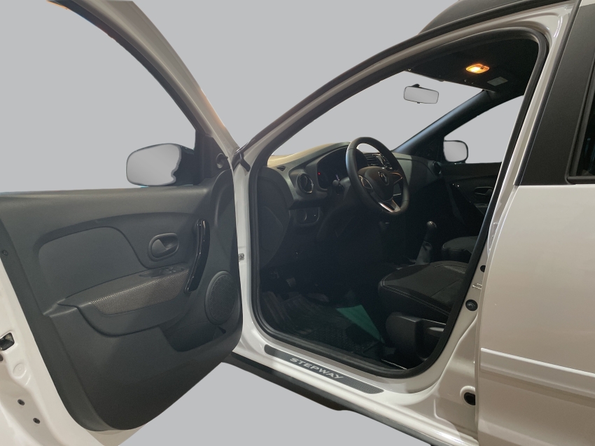 stepway 1.0 12v sce flex zen manual