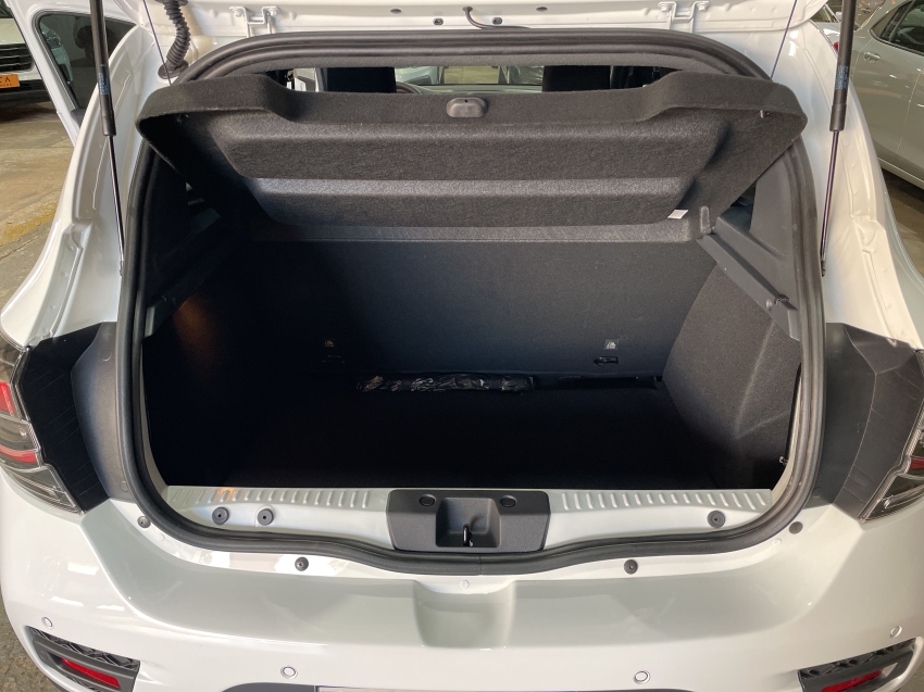 stepway 1.0 12v sce flex zen manual