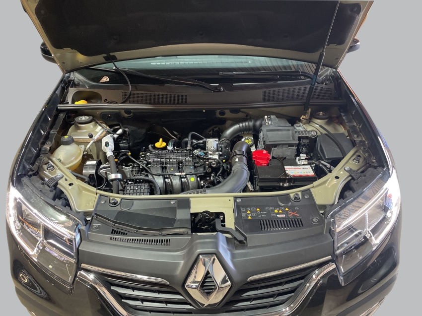 stepway 1.0 12v sce flex zen