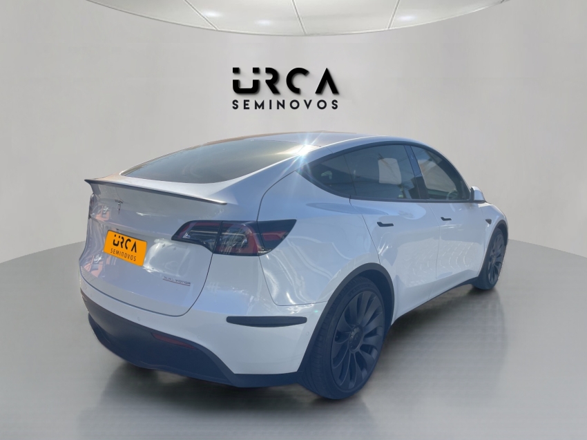 model y p100d long range performance awd eletrico