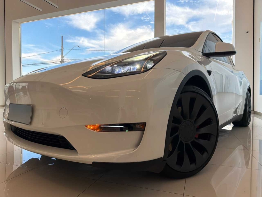 model y p100d long range performance awd eletrico