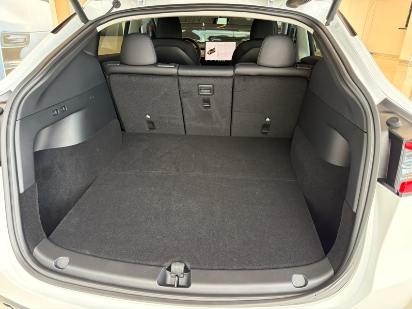 model y p100d long range performance awd eletrico10