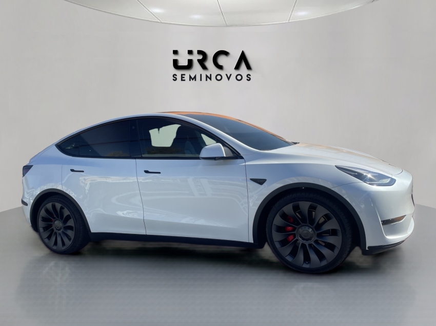 model y p100d long range performance awd eletrico