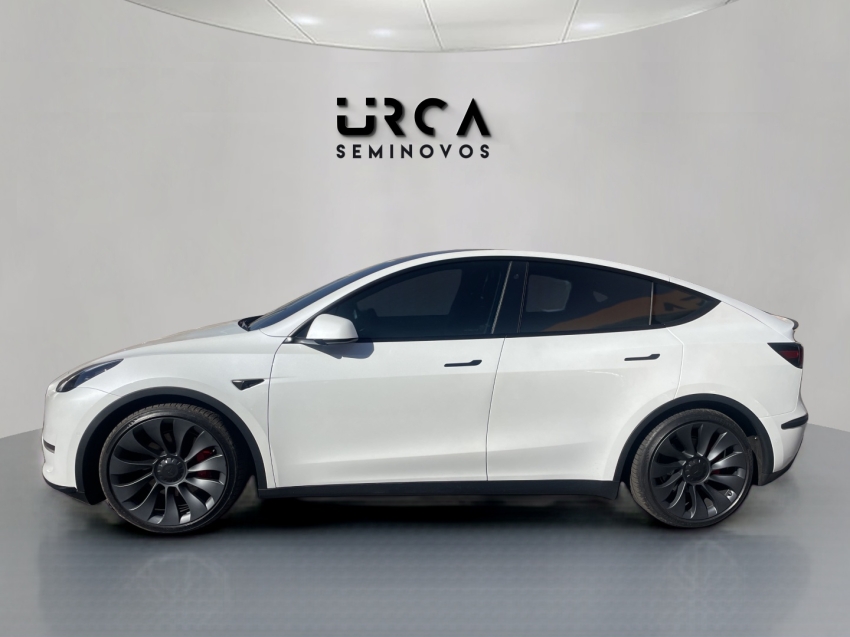model y p100d long range performance awd eletrico