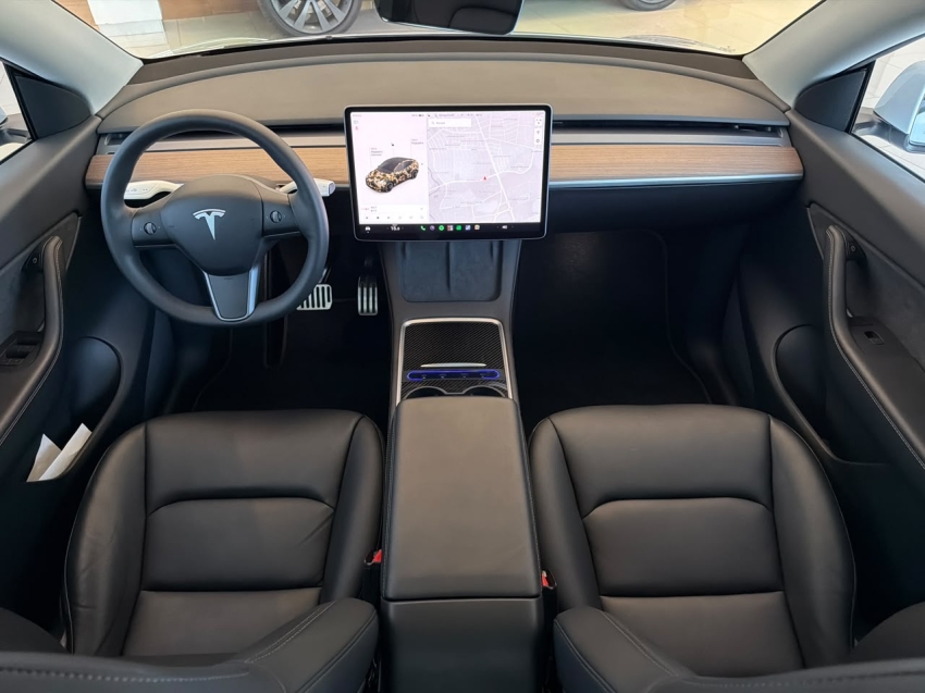 model y p100d long range performance awd eletrico6