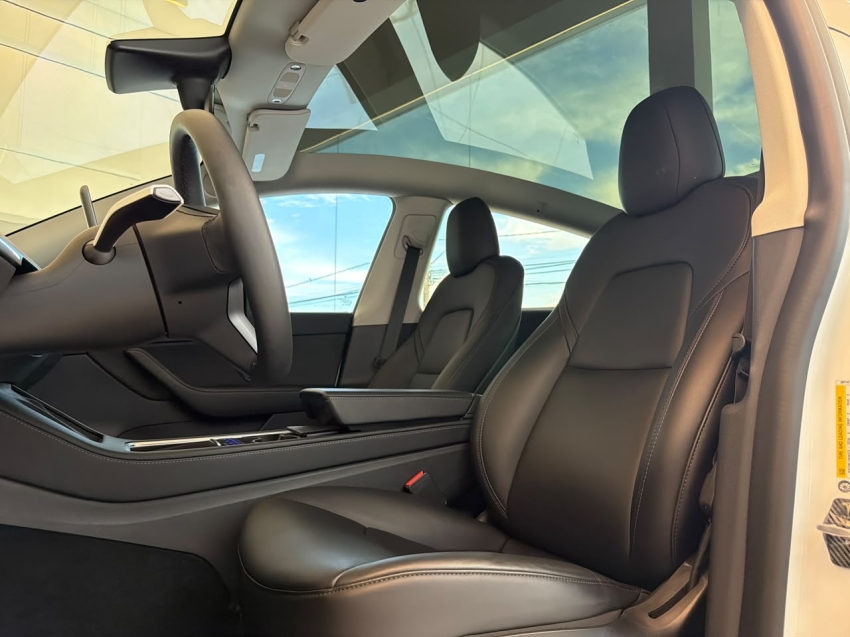 model y p100d long range performance awd eletrico7