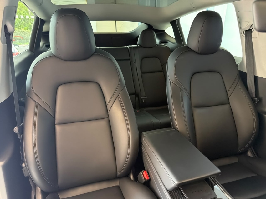 model y p100d long range performance awd eletrico8
