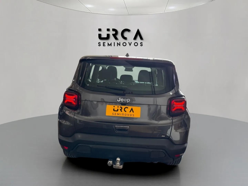 renegade 1.3 t270 turbo flex at62