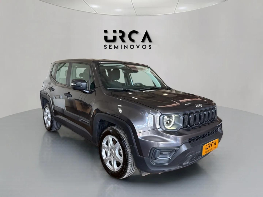 renegade 1.3 t270 turbo flex at65