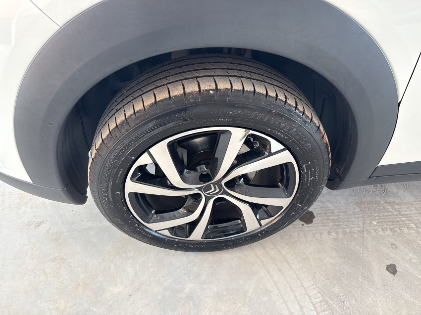 c4 cactus 1.6 thp flex shine pack eat69