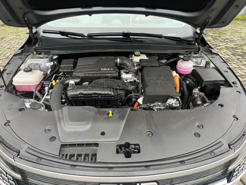 byd king 1.5 dm-i phev gs automatico hibrido 4p 2025