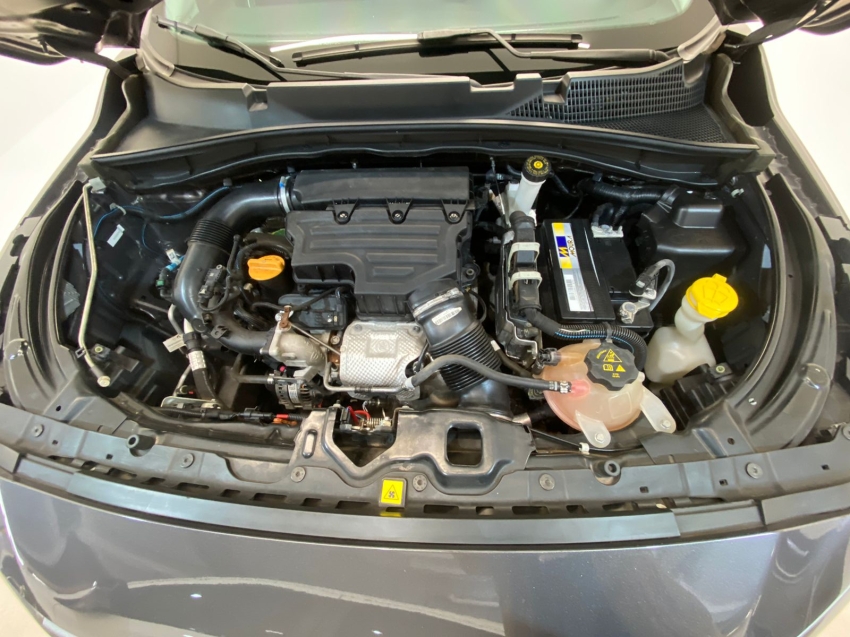 pulse audace
