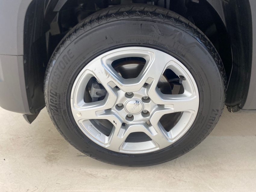 renegade longitude t270