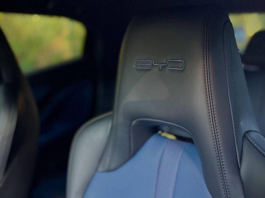 byd dolphin mini gs ev - imperdivel!!!11