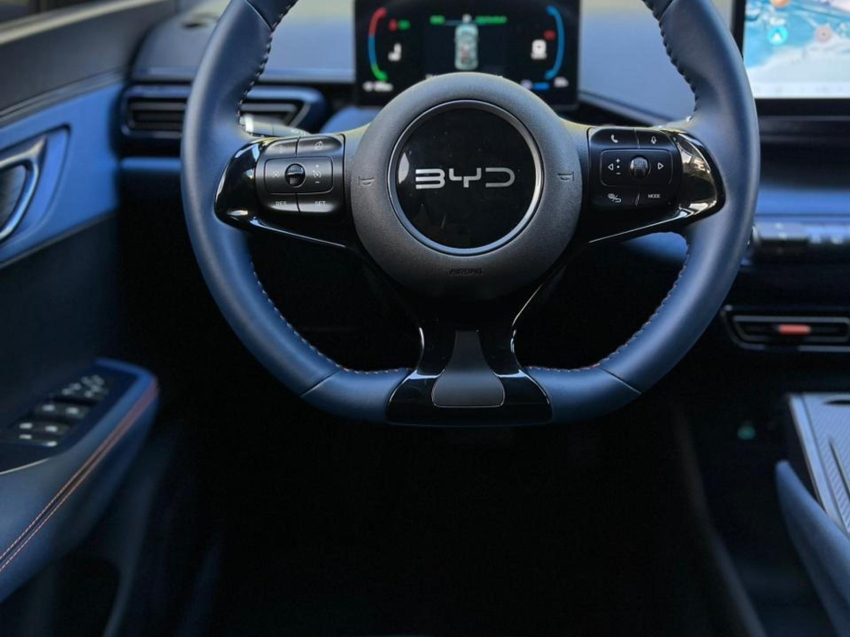 byd dolphin mini gs ev - imperdivel!!!12