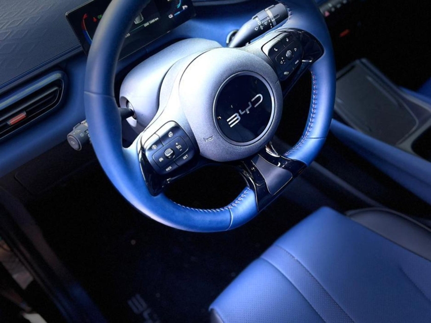 byd dolphin mini gs ev - imperdivel!!!13