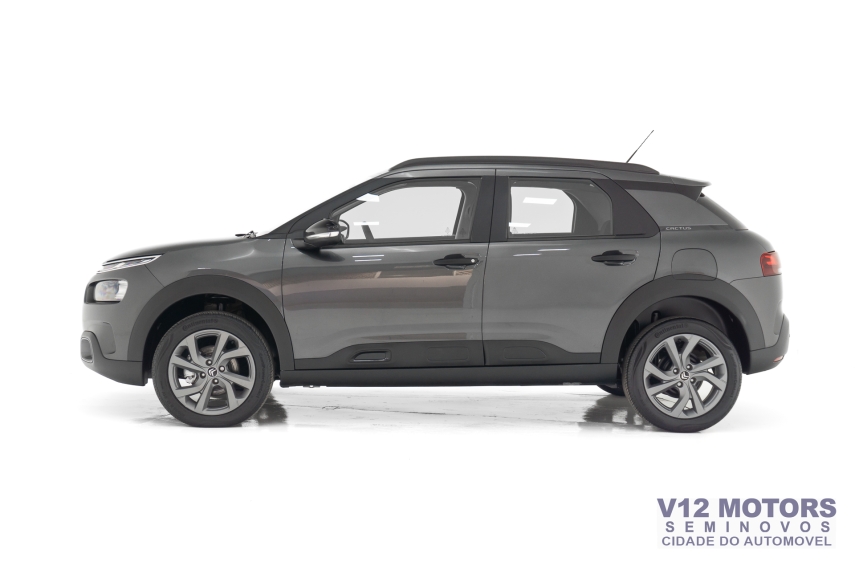 c4 cactus feel