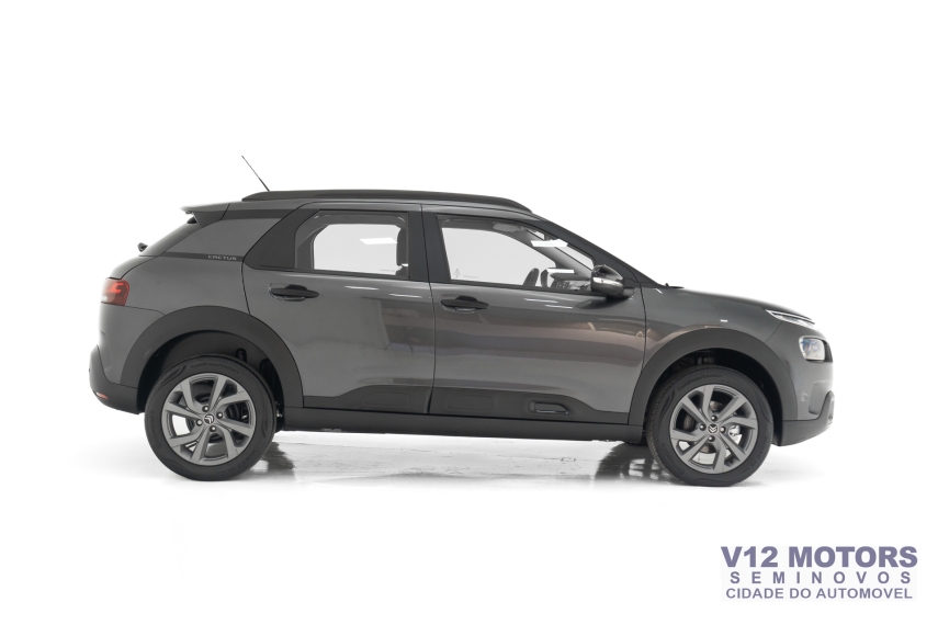 c4 cactus feel