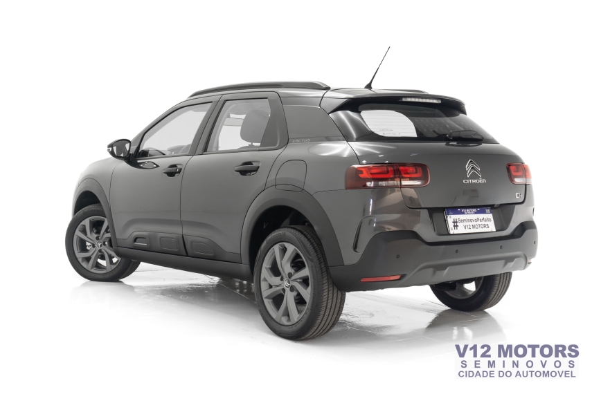 c4 cactus feel