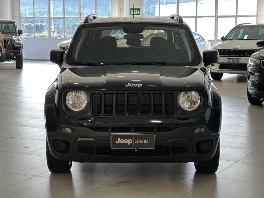 jeep renegade 1.8 16v flex 4p manual