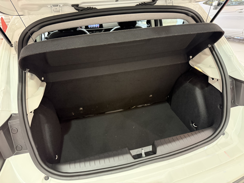 fiat pulse