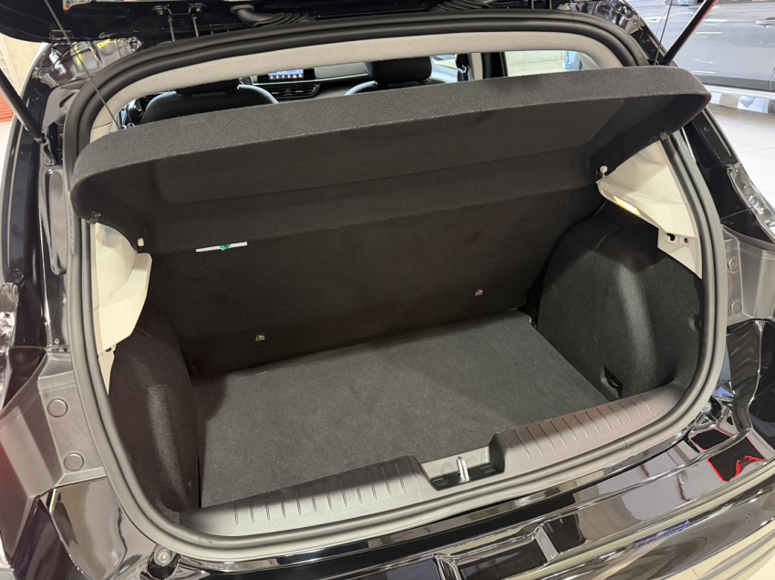 fiat pulse11