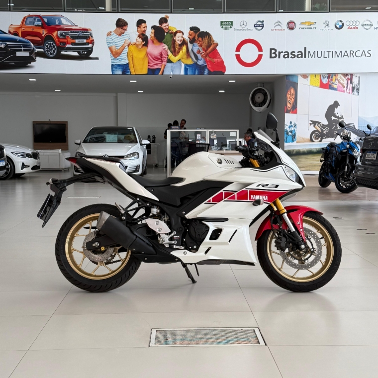yzf- r3  world gp
