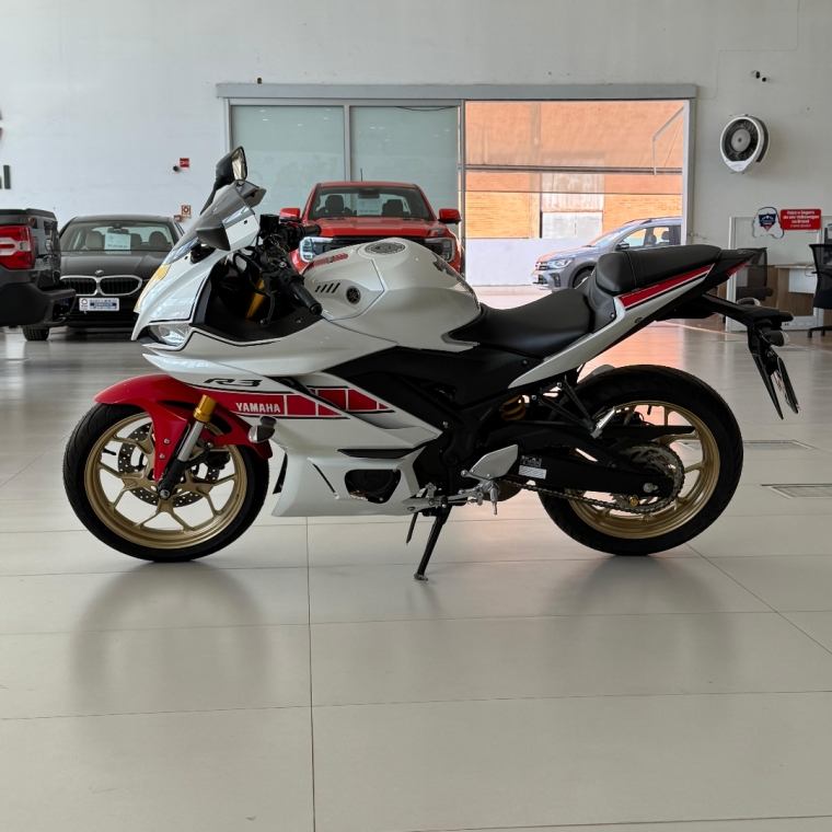yzf- r3  world gp