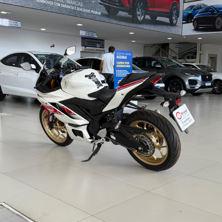 yzf- r3  world gp