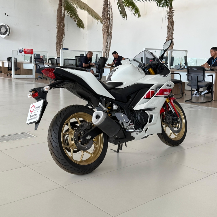 yzf- r3  world gp
