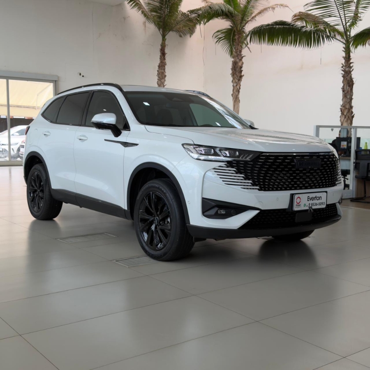 haval h6 phev 19