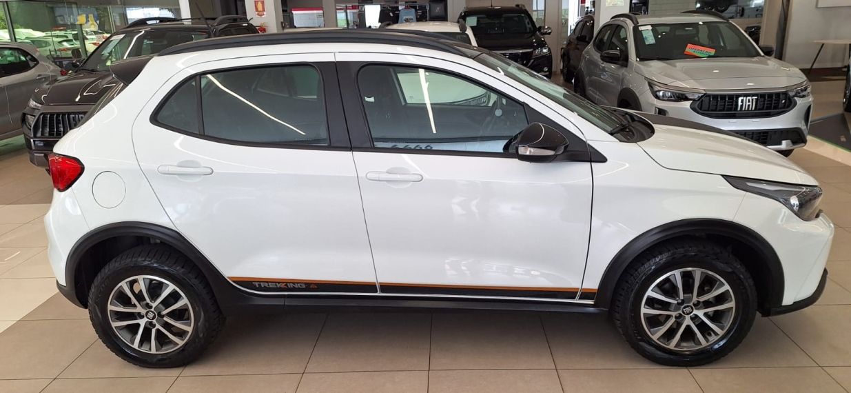 fiat argo 1.3 firefly flex trekking manual 4p 20247